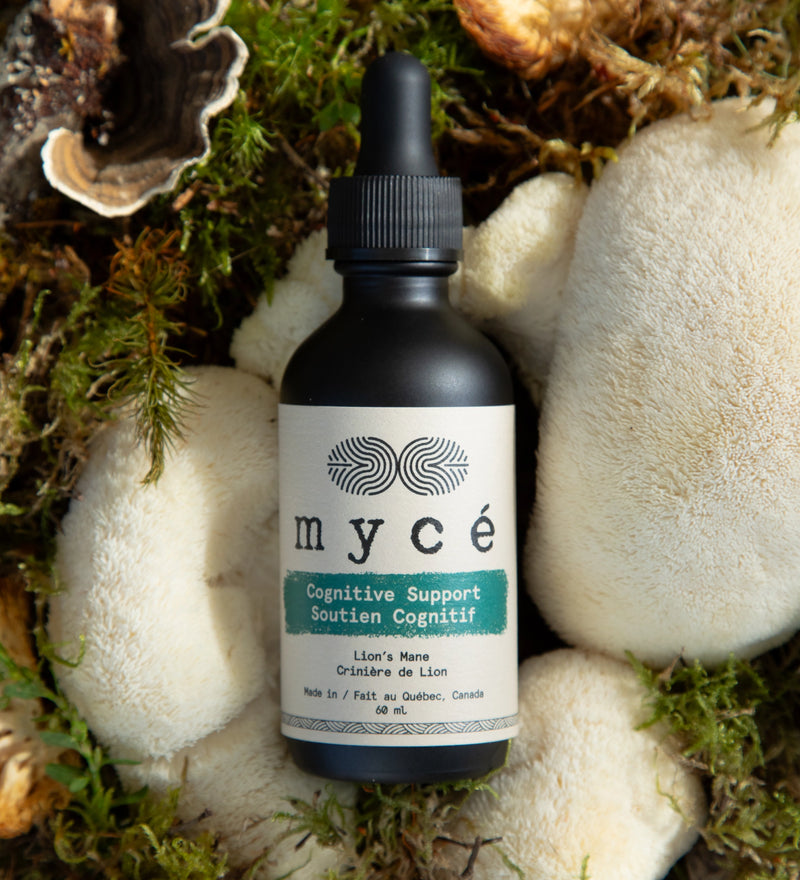 Cognitive Support hover