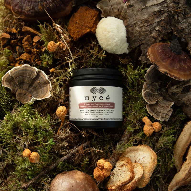 5 Mushroom Blend hover