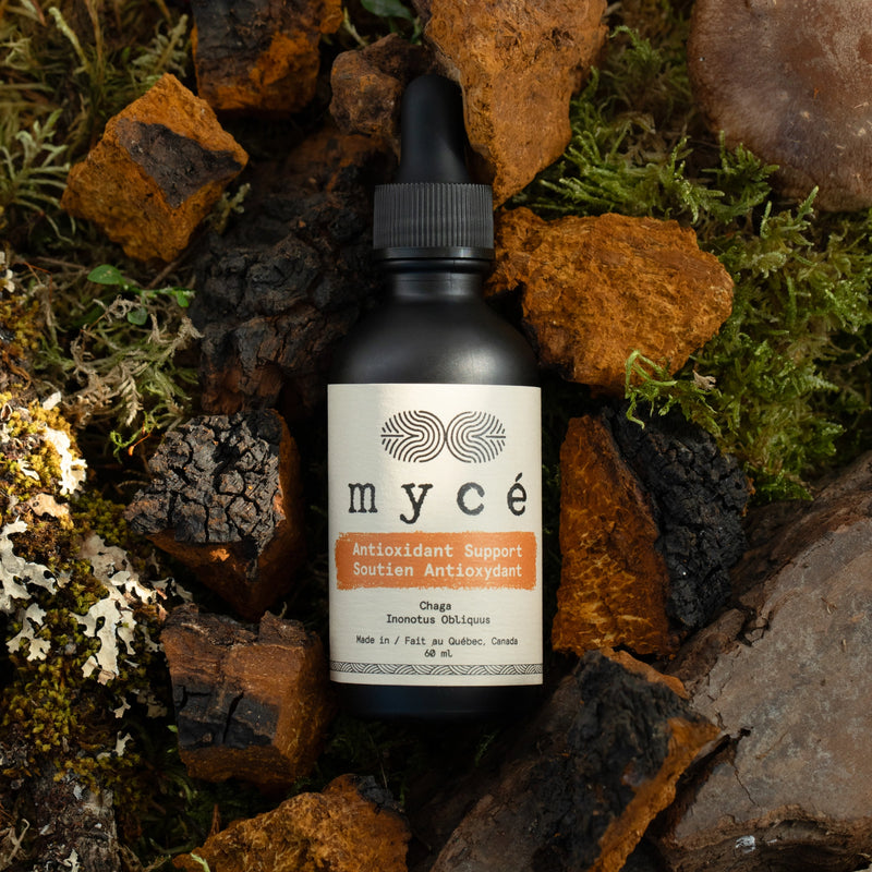 Antioxidant Support hover